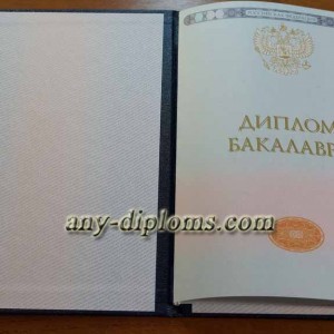 Диплом бакалавра 2014-2017 год