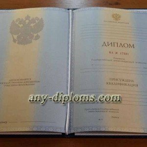 Диплом специалиста 2011-2013 год