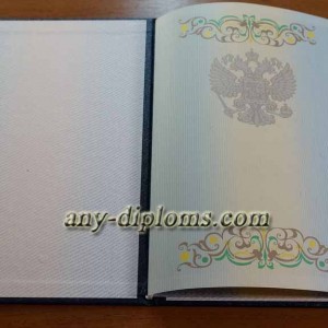 Диплом специалиста 2011-2013 год