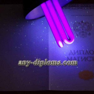 Диплом магистра 2014-2017 год (Киржач)