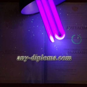Диплом бакалавра 2004-2010 год