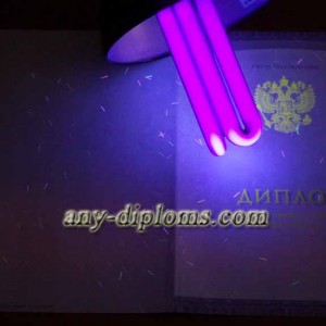 Диплом среднее профессиональное образование 2014-2017 год